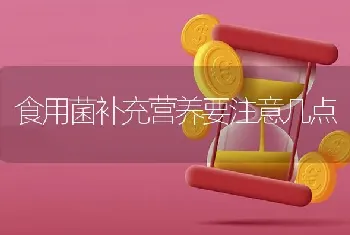 食用菌补充营养要注意几点