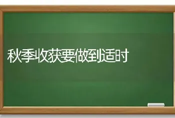 秋季收获要做到适时