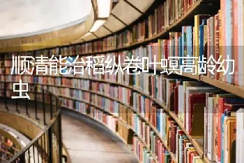 顺清能治稻纵卷叶螟高龄幼虫