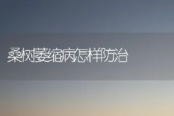 桑树萎缩病怎样防治