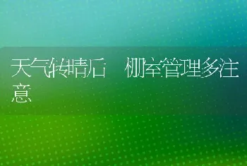 天气转晴后 棚室管理多注意