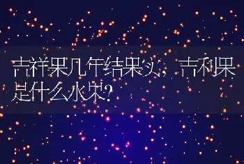 吉祥果几年结果实