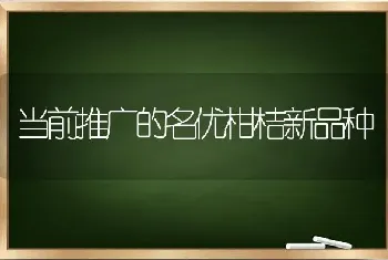 当前推广的名优柑桔新品种