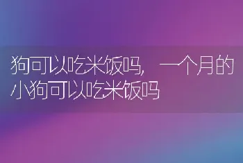 狗可以吃米饭吗,一个月的小狗可以吃米饭吗