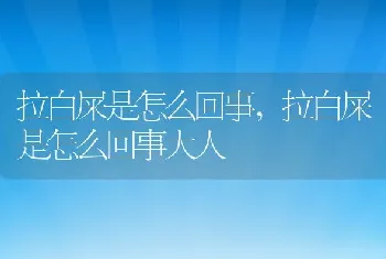 拉白屎是怎么回事