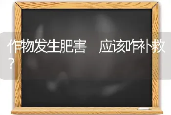 作物发生肥害 应该咋补救?