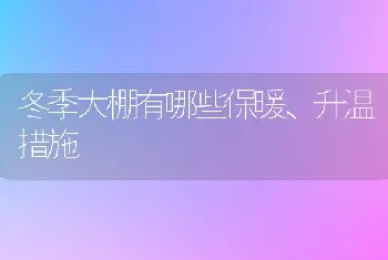 冬季大棚有哪些保暖、升温措施