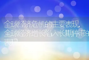 全球经济危机的主要表现