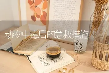 动物中毒后的急救措施