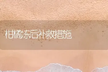 柑橘冻后补救措施