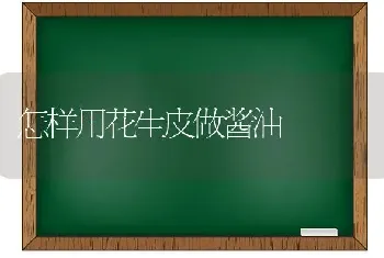 怎样用花生皮做酱油