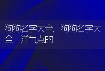 狗狗名字大全,狗狗名字大全 洋气点的