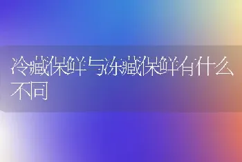 冷藏保鲜与冻藏保鲜有什么不同