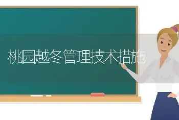 桃园越冬管理技术措施