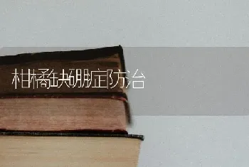 柑橘缺硼症防治