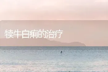 犊牛白痢的治疗