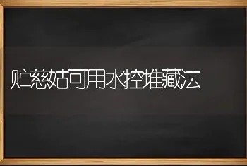 贮慈姑可用水控堆藏法