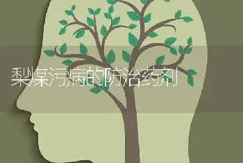 梨煤污病的防治药剂