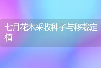 七月花木采收种子与移栽定植