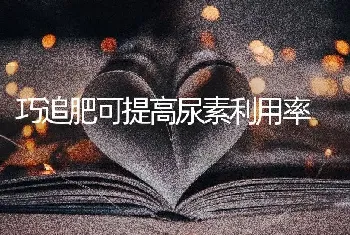 巧追肥可提高尿素利用率