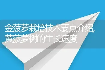 金菠萝栽培技术要点介绍