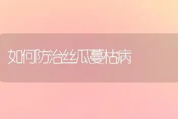 如何防治丝瓜蔓枯病