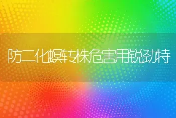 防二化螟转株危害用锐劲特