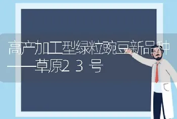 高产加工型绿粒豌豆新品种——草原23号