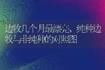 一吃饭就流鼻涕,一吃饭就流鼻涕是什么原因