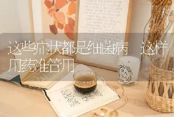 这些症状都是细菌病 这样用药准管用