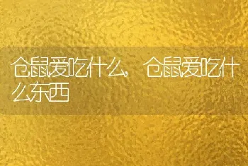 仓鼠爱吃什么,仓鼠爱吃什么东西