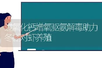 过氧化钙增氧驱氨解毒助力冬棚对虾养殖