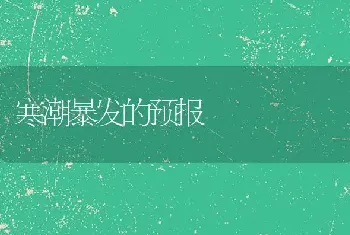 寒潮暴发的预报