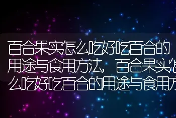 百合果实怎么吃好吃百合的用途与食用方法