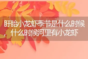 盱眙小龙虾季节是什么时候