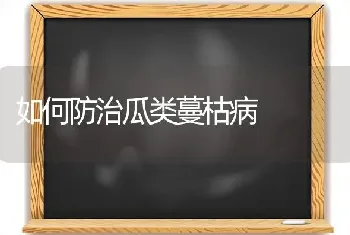 如何防治瓜类蔓枯病