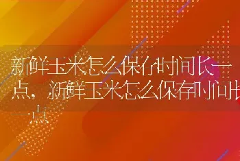 新鲜玉米怎么保存时间长一点