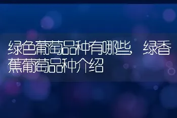 花生亩产量一般多少斤每亩花生产量及收入