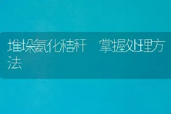 堆垛氨化秸秆 掌握处理方法