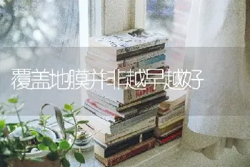 覆盖地膜并非越早越好