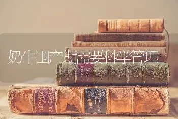 奶牛围产期需要科学管理