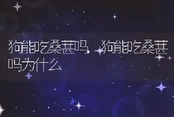 狗能吃桑葚吗,狗能吃桑葚吗为什么