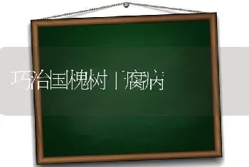 巧治国槐树干腐病