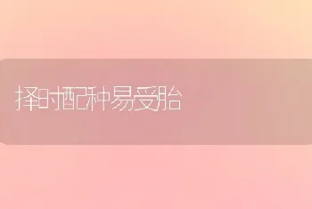 择时配种易受胎