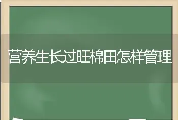 营养生长过旺棉田怎样管理