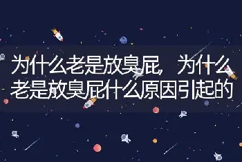 为什么老是放臭屁,为什么老是放臭屁什么原因引起的