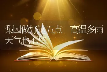 梨园做好这五点 高温多雨天气也不愁