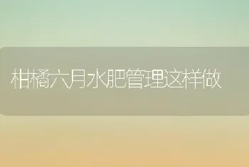 柑橘六月水肥管理这样做