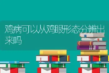 鸡病可以从鸡眼形态分辨出来吗