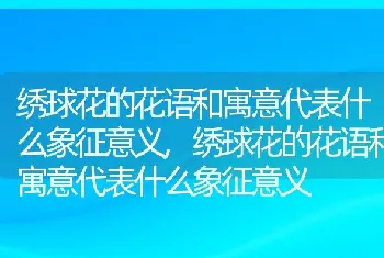 绣球花的花语和寓意代表什么象征意义